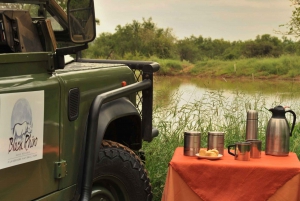 ヨハネスブルグ：2日間の4つ星ピラネスバーグサファリ