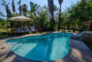 Johannesburg: 3 päivän klassinen safarikierros Krugerin kansallispuistossa