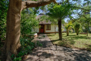 Johannesburg: 3 päivän klassinen safarikierros Krugerin kansallispuistossa