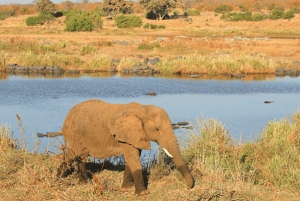 Johannesburg: 3-Day Kruger National Park and Panorama Route…