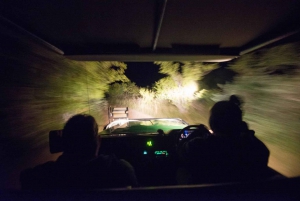 Johannesburg: Krugerin kansallispuiston 4 päivän safari: 4-Day Classic Kruger National Park Safari