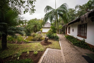 Johannesburg: Krugerin kansallispuiston 4 päivän safari: 4-Day Classic Kruger National Park Safari