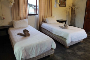 Johannesburg: Betaalbare 3-daagse safari in het Krugerpark