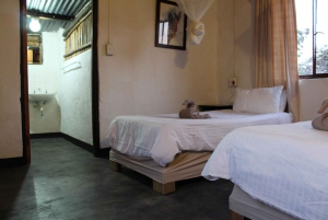 Johannesburg: Betaalbare 3-daagse safari in het Krugerpark