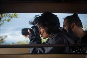 Johannesburg: Betaalbare 3-daagse safari in het Krugerpark