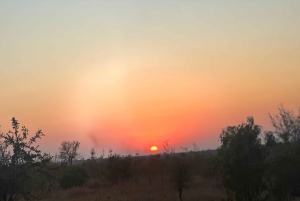 Johannesburg: safari di 2 giorni al Dinokeng Resort