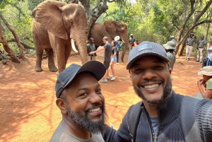 Johannesburg: Halbtagestour zum Elefanten- und Affenschutzgebiet