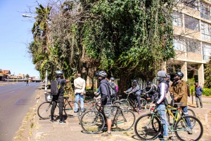 Johannesburg: Guided Bike Tour of the city