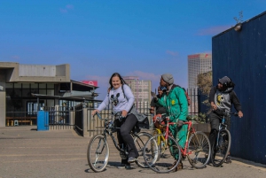Johannesburg: Guided Bike Tour of the city