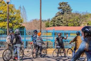 Johannesburg: Guided Bike Tour of the city