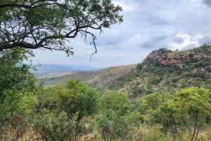 Johannesburg: Human Origins day tour and Malapa Museum