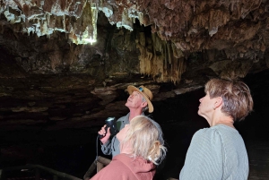 Johannesburg: Human Origins day tour and Malapa Museum