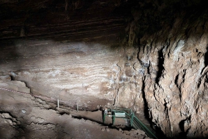 Johannesburg: Human Origins day tour and Malapa Museum