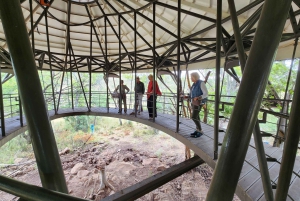 Johannesburg: Human Origins day tour and Malapa Museum