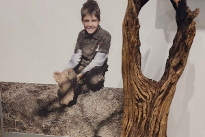 Johannesburg: Human Origins day tour and Malapa Museum