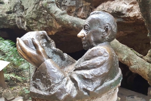 Johannesburg: Human Origins day tour and Malapa Museum