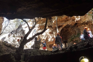 Johannesburg: Human Origins day tour and Malapa Museum