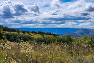 Johannesburg: Human Origins day tour and Malapa Museum