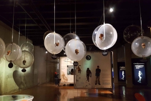 Johannesburg: Human Origins day tour and Malapa Museum