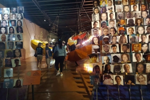 Johannesburg: Human Origins day tour and Malapa Museum