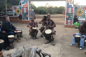 ヨハネスブルグ ライオン パークとレセディ文化村