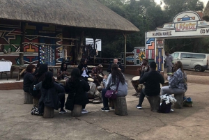 ヨハネスブルグ ライオン パークとレセディ文化村