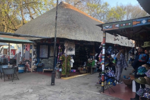 ヨハネスブルグ ライオン パークとレセディ文化村