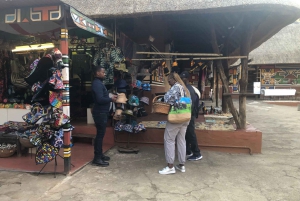 ヨハネスブルグ ライオン パークとレセディ文化村