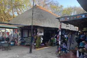 ヨハネスブルグ ライオン パークとレセディ文化村