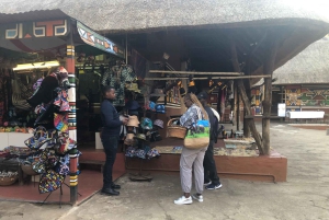 ヨハネスブルグ ライオン パークとレセディ文化村