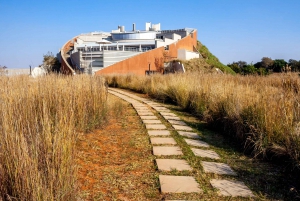 Johannesburg: Lion Park Safari and Cultural Village Tour