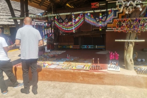 Johannesburg: Lion Park Safari and Cultural Village Tour