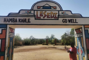 Johannesburg: Lion Park Safari and Cultural Village Tour