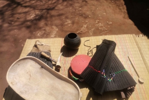 Johannesburg: Lion Park Safari and Cultural Village Tour