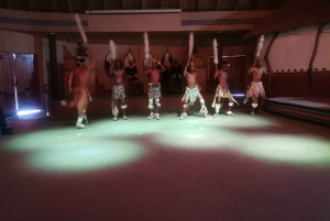 Johannesburg: Lion Park Safari and Cultural Village Tour