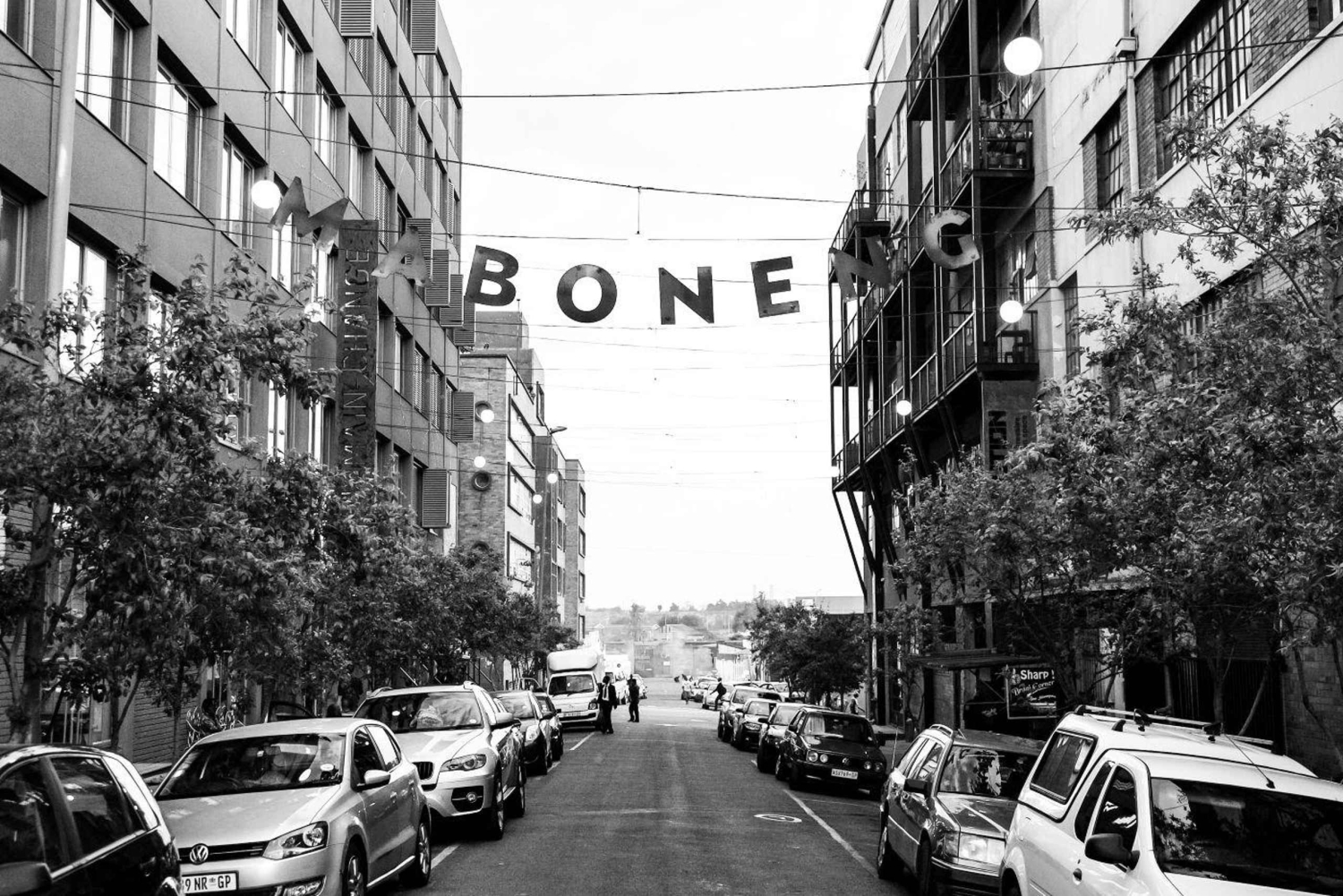 Johannesburg: Maboneng Street Art & Culture Tour