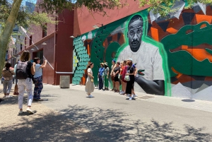 Johannesburg: Gadekunst og kultur i Maboneng!