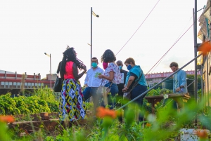 Johannesburg: Pan-African Cooking & Dinning Experience