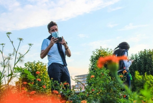 Johannesburg: Pan-African Cooking & Dinning Experience