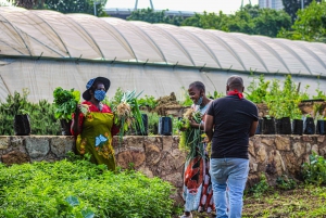 Johannesburg: Pan-African Cooking & Dinning Experience