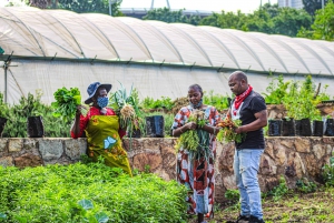 Johannesburg: Pan-African Cooking & Dinning Experience