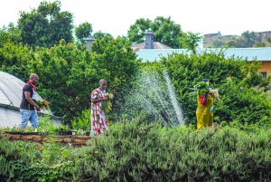 Johannesburg: Pan-African Cooking & Dinning Experience