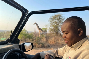 Johannesburg Safari dagstur - Pilanesberg Big 5 äventyr