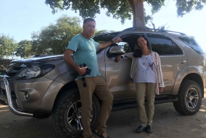 Johannesburg Safari dagstur - Pilanesberg Big 5 äventyr