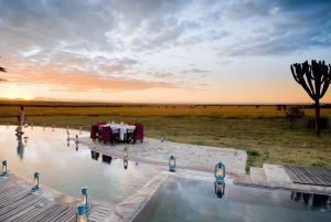 Johannesburg Safari dagstur - Pilanesberg Big 5 äventyr