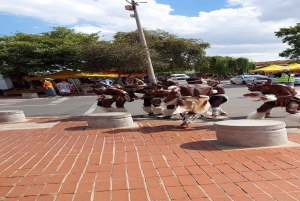 Joanesburgo e Soweto (excursão de meio dia)