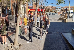 Joanesburgo e Soweto (excursão de meio dia)