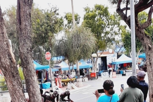 Johannesburg: tour privato del quartiere di Soweto e del Museo dell'Apartheid