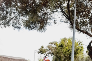 Johannesburg: tour privato del quartiere di Soweto e del Museo dell'Apartheid