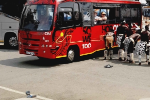 Johannesburg: tour privato del quartiere di Soweto e del Museo dell'Apartheid